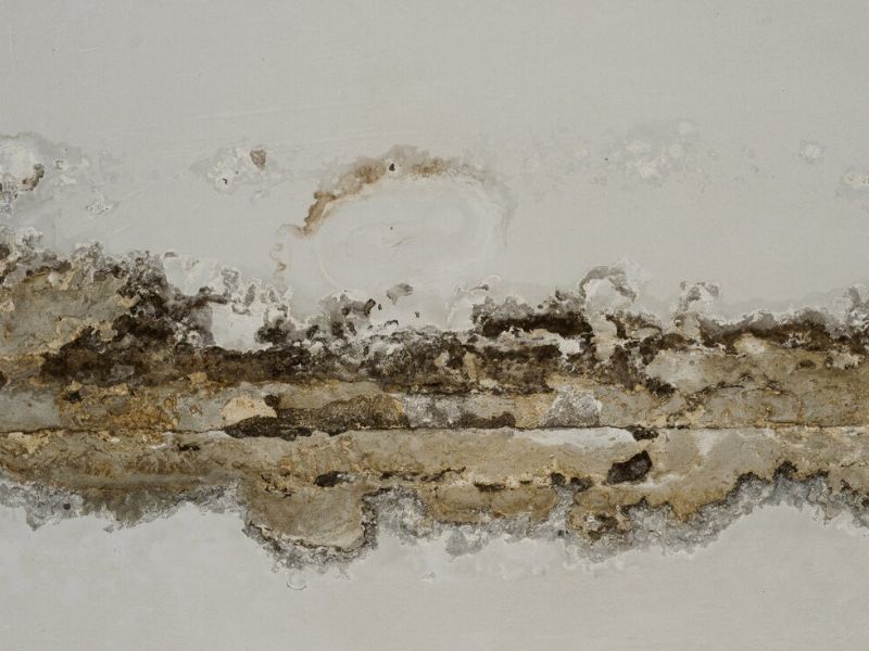 View Mold and Mildew https://houstonrestorationgroup.com/wp-content/uploads/2023/07/Water-Damage-Flood-Damage-Water-Restoration-Flood-Cleanup-Mold-and-Mildew-Water-Damage-992832bc.jpg