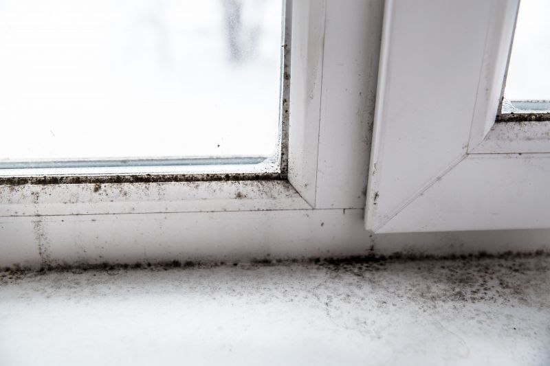 View mold and mildew https://houstonrestorationgroup.com/wp-content/uploads/2023/07/secondary-water-damage-water-damage-restoration-flood-cleanup-mold-and-mildew-water-damage-restoration-32577a8d.jpg