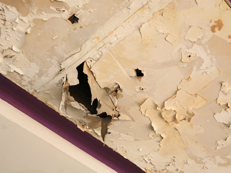 View water damage https://houstonrestorationgroup.com/wp-content/uploads/2023/07/water-damage-flood-damage-water-damage-restoration-flood-cleanup-mold-and-mildew-Water-Damage-a5688616.jpg