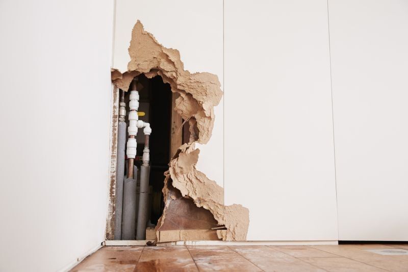 A Photo of mold removal https://houstonrestorationgroup.com/wp-content/uploads/2023/07/water-damage-flood-damage-water-damage-restoration-mold-removal-Water-Damage-3c5c3ef8.jpg