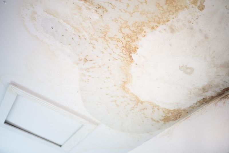 Picture related to water damage https://houstonrestorationgroup.com/wp-content/uploads/2023/07/water-damage-flood-damage-water-restoration-flood-cleanup-mold-and-mildew-water-damage-a6c57ee1.jpg