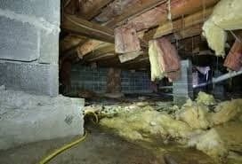 View Crawl Space Mold Removal https://houstonrestorationgroup.com/wp-content/uploads/2023/08/Crawl-Space-Cleanup-Crawl-Space-Restoration-Crawl-Space-Insulation-Crawl-Space-Moisture-Control-Crawl-Space-Encapsulation-Crawl-Space-Waterproofing-Crawl-Space-Repair-Crawl-Space-Mold-Removal-Crawl-Space-Cleaning-Safety-Measures-d24cb879.jpeg