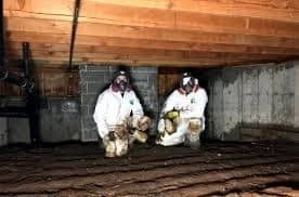 View Crawl Space Restoration https://houstonrestorationgroup.com/wp-content/uploads/2023/08/Crawl-Space-Cleanup-Crawl-Space-Restoration-Crawl-Space-Insulation-Hiring-a-Pro-for-Crawl-Spaces-FAQs-Average-Cost-to-Repair-a-Crawl-Space-Crawl-Space-Air-Filtration-Systems-12c0ef4a.jpeg