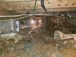 View FAQs https://houstonrestorationgroup.com/wp-content/uploads/2023/08/Crawl-Space-Cleanup-Crawl-Space-Restoration-Crawl-Space-Insulation-Hiring-a-Pro-for-Crawl-Spaces-FAQs-Average-Cost-to-Repair-a-Crawl-Space-main-keyword-a1629243.jpeg