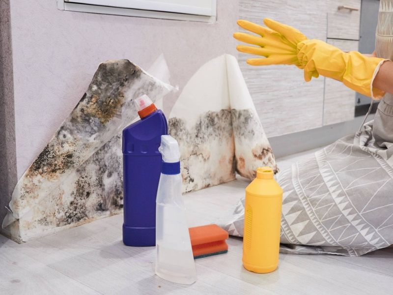 View Mold remediation https://houstonrestorationgroup.com/wp-content/uploads/2023/08/Water-damage-cleanup-Basement-flooded-Water-damage-restoration-Flood-cleanup-Mold-remediation-Home-d831b117.jpg