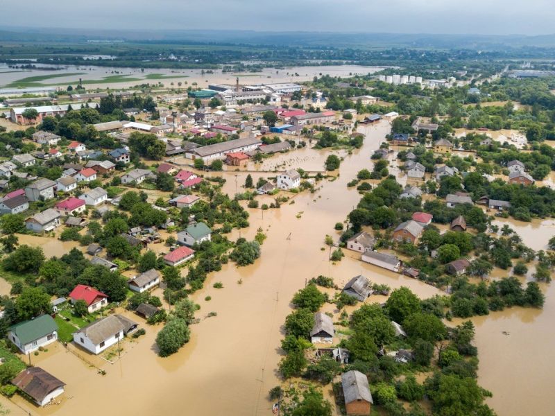 Picture related to zoos https://houstonrestorationgroup.com/wp-content/uploads/2023/08/disaster-preparedness-zoos-emergency-response-animal-safety-natural-disasters-Disaster-Restoration-0ccf7516.jpg